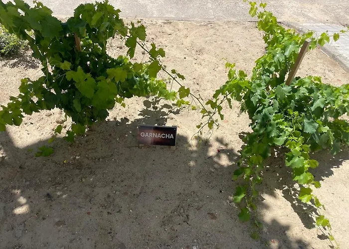 Villacremita And Different House In ヴィラ ルエダ