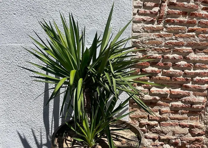 ヴィラ Villacremita And Different House In *